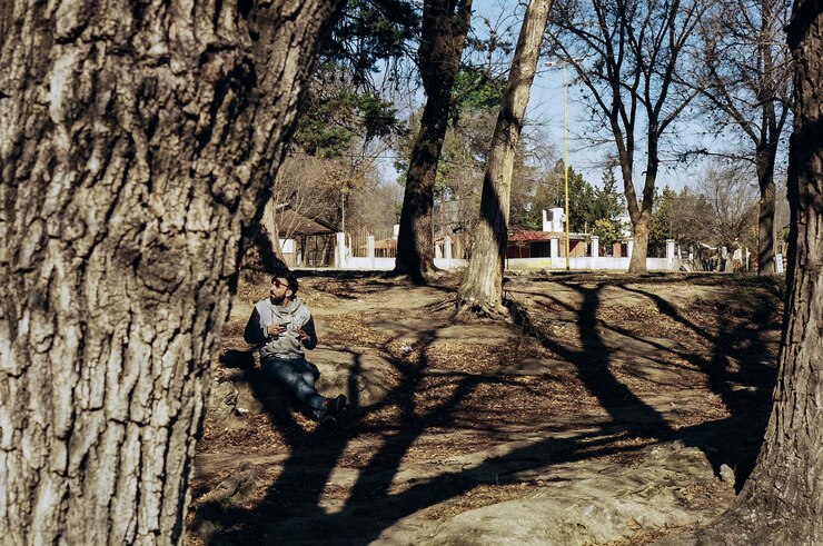 Foto hombre sentado en medio de los árboles en el bosque