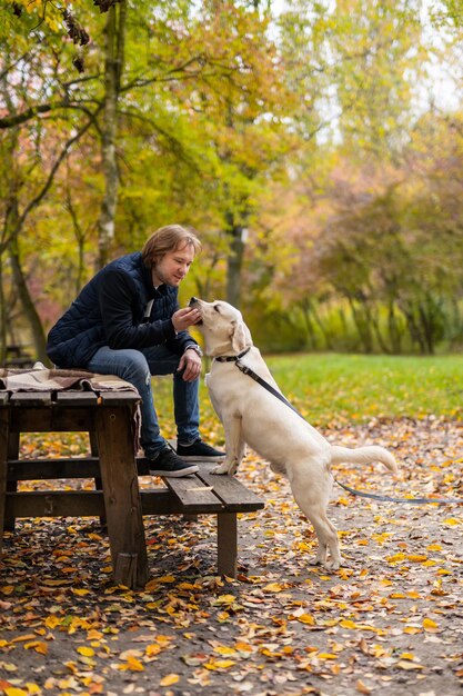 El hombre se sienta en un banco del parque. Perro labrador se encuentra cerca del dueño en el parque. Hermoso fondo dorado de otoño.