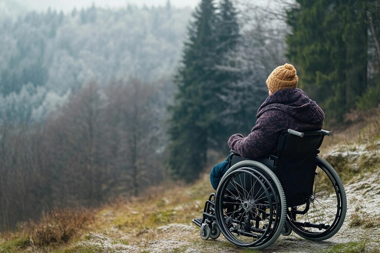 Hombre en silla de ruedas disfruta de una vista pacífica del paisaje forestal brumoso en invierno IA generativa