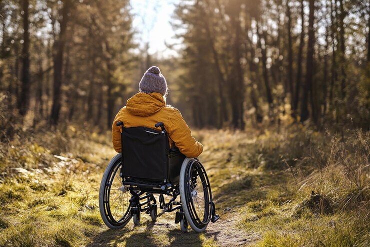 Hombre en silla de ruedas explorando el sendero del bosque durante la hora dorada IA generativa