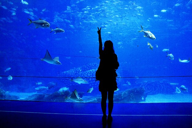 Foto hombre silueta de pie en el acuario