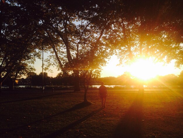 Foto hombre silueta de pie en el campo contra el cielo durante la puesta de sol