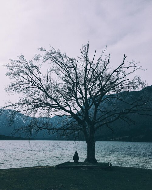 Hombre silueta sentado en un árbol junto al mar contra el cielo durante el invierno