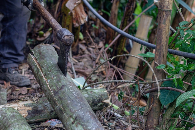 Foto hombre sosteniendo un hacha pesada en las manos del leñador cortando o cortando troncos de madera