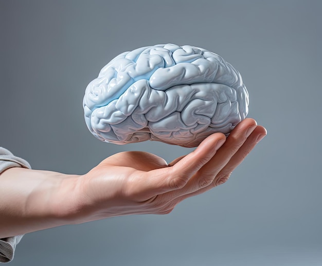 hombre sosteniendo un modelo cerebral abstracto en su mano izquierda en el estilo de azul cielo y gris