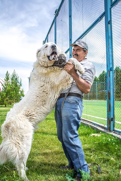 Foto un hombre está sosteniendo un perro frente a una valla