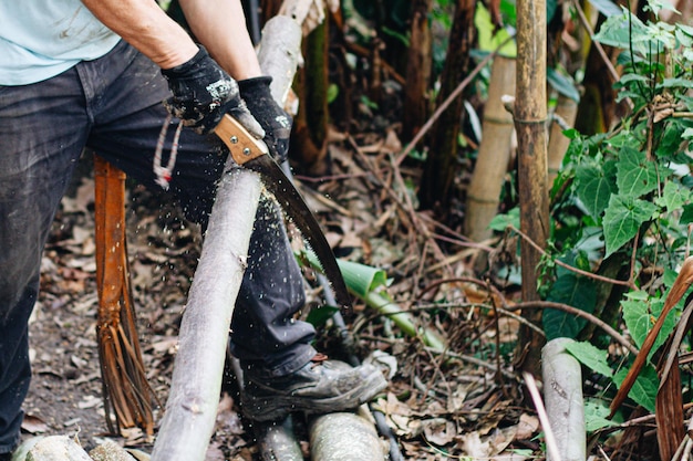 Foto hombre sosteniendo una sierra de mano pesada hacha en manos de leñador cortando o cortando troncos de madera