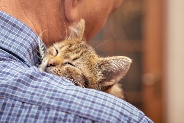 El hombre sostiene un pequeño gatito en sus brazos y lo abraza.