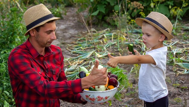 Un hombre sostiene un plato de verduras frescas de la granja en sus manos. Naturaleza. Enfoque selectivo