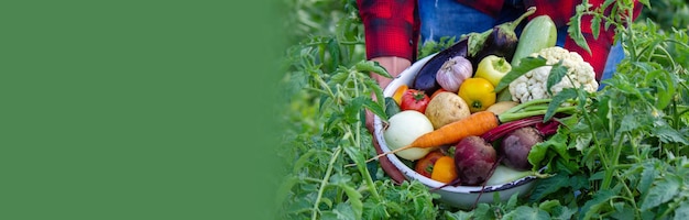 Un hombre sostiene verduras de una granja en Minsk.