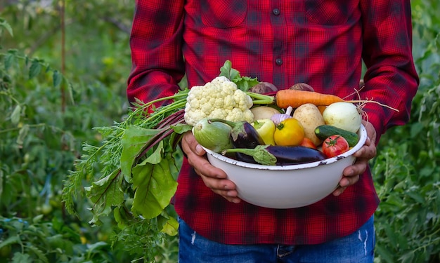 Un hombre sostiene verduras de una granja en Minsk.