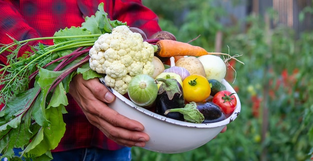 Un hombre sostiene verduras de una granja en Minsk.