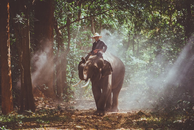 El hombre y su elefante en el norte de Tailandia