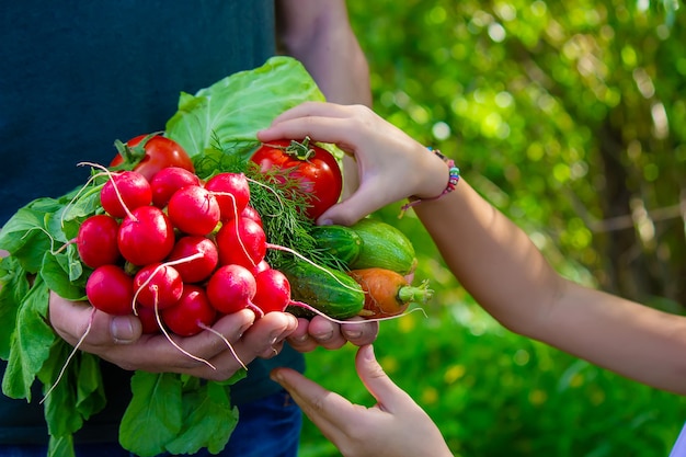 Un hombre y su hijo en el jardín con verduras en sus manos.