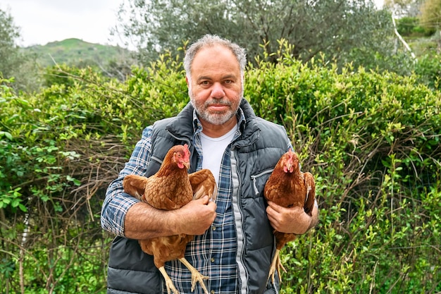 Hombre sujetando gallinas en sus manos en la granja