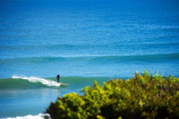 Foto hombre surfeando en la ola en el mar