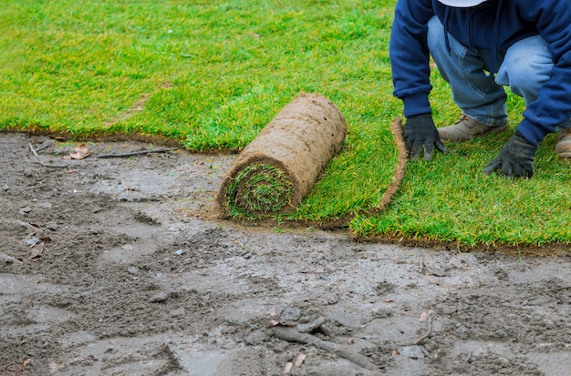 Hombre tendido césped césped rollos para césped nuevo jardín