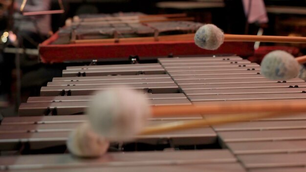 Hombre tocando el xilófono con un bonito bastón de batería manos humanas tocando un glockenspiel en primer plano