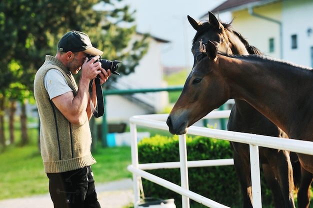 hombre tomando fotografías del animal de granja de caballos