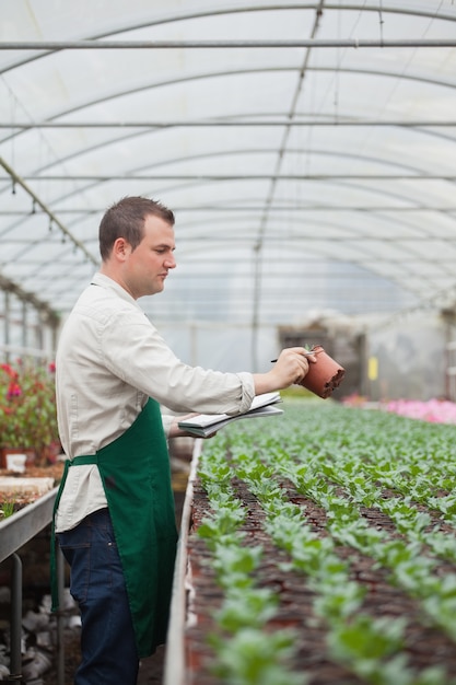 Hombre tomando notas sobre plántulas en vivero