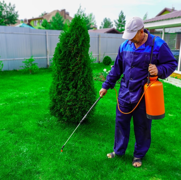 Un hombre trabaja en el jardín rociando malezas con un pulverizador