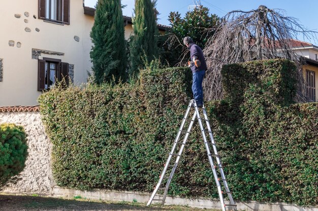 Foto hombre trabajando en una escalera con cortasetos en acción