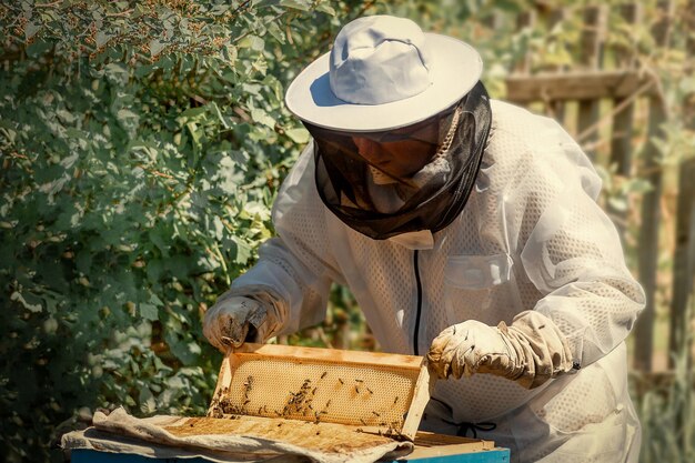 Hombre trabajando en plantas