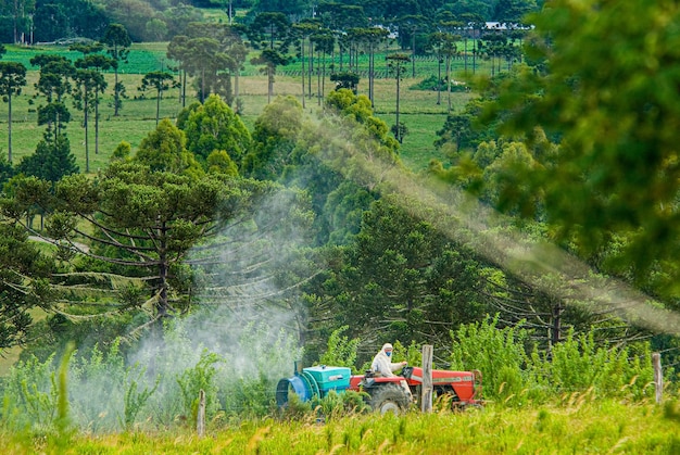 Hombre en tractor rociando tierras fértiles de plantaciones agrícolas