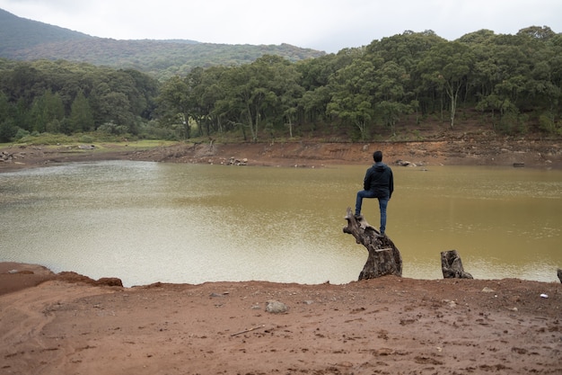 Hombre en un tronco mirando el horizonte, el río y los árboles