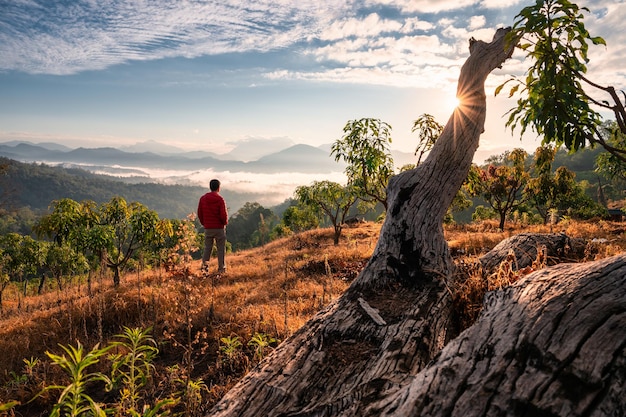 Hombre viajero de pie y disfrutando de la vista de la cordillera con niebla en el prado con amanecer sobre troncos de madera en el jardín agrícola