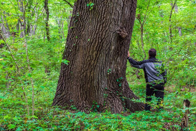 Hombre por un viejo gran árbol en bosque verde