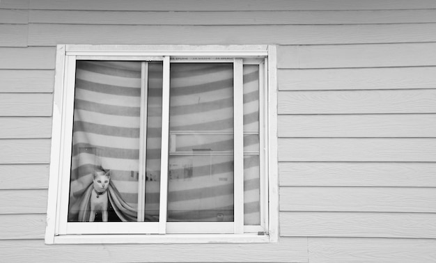 Foto hombre visto a través de la ventana del edificio