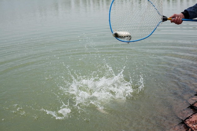 Los hombres arrojan peces al lago. preparación para el torneo de pesca deportiva en el lago