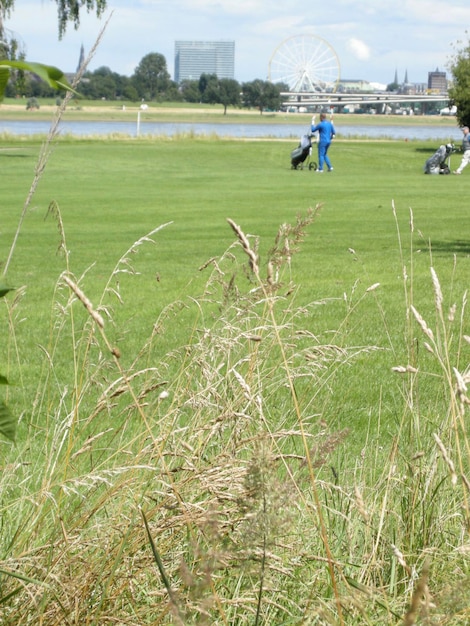 Foto hombres caminando en un campo de golf con hierba en primer plano