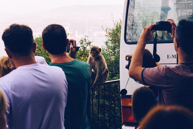 Foto hombres fotografiando un mono
