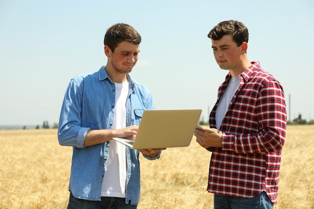 Hombres jóvenes con laptop en campo de cebada. Negocio agrícola. Agricultura