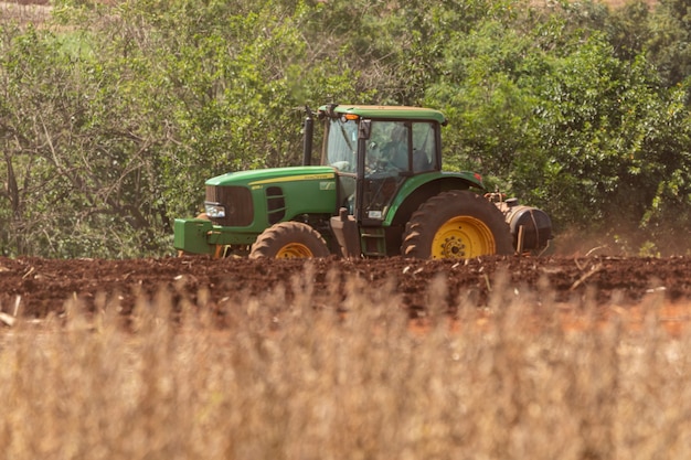 Hombres en el sol caliente plantando caña con sus manos