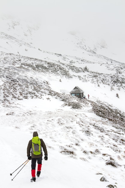 Foto los hombres van a la cabaña al pie del monte hoverla, donde los amigos lo esperan.