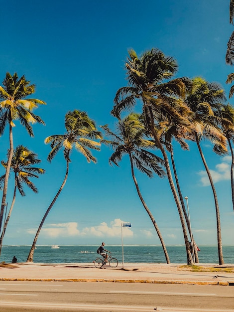 Foto homem a andar de bicicleta pelo mar