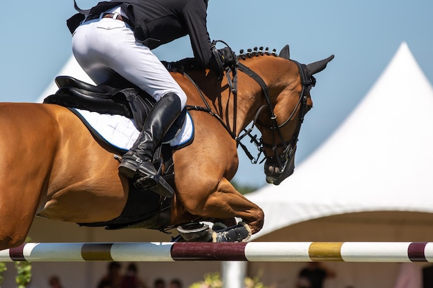 Foto homem a cavalo.