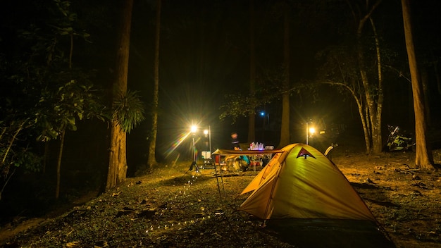 Homem acampando na floresta à noite