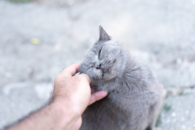 Homem acariciando um gato na rua