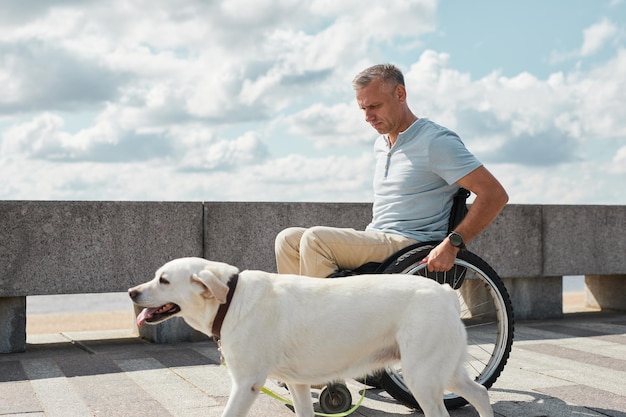 Homem adulto em cadeira de rodas com cachorro