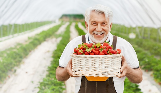 Homem adulto feliz segurando uma cesta de morangos