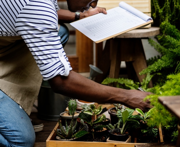 Homem adulto, verificar, plantas, exterior, loja flor