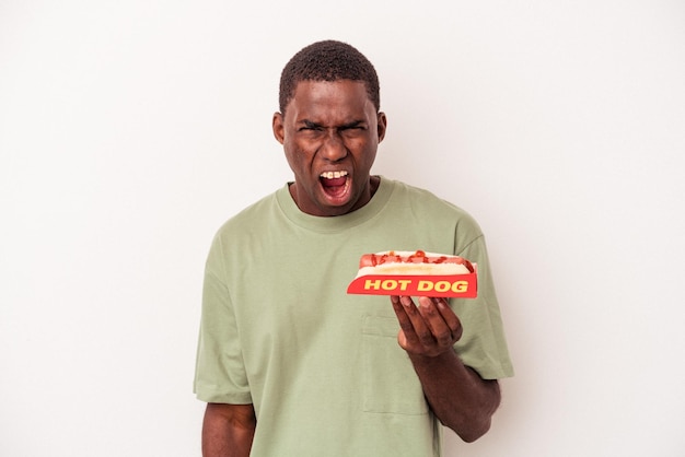 Homem afro-americano jovem comendo um cachorro-quente isolado no fundo branco, gritando muito irritado e agressivo.