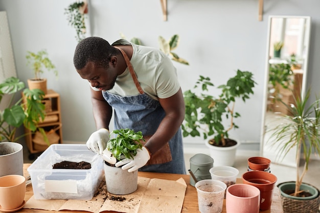 Homem afro-americano replantando plantas dentro de casa, escavando cuidadosamente a mistura de solo