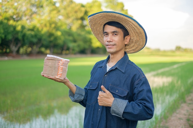 Homem agricultor asiático sorri segurando pilhas de dinheiro de notas tailandesas e o polegar para cima na fazenda de arroz verde.