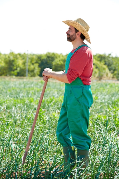 Homem agricultor, trabalhando, em, cebola, pomar, com, enxada