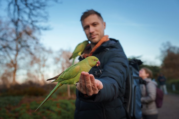 Foto homem alimenta periquitos rosados em um parque frio de londres durante o inverno